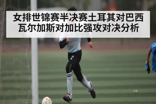 女排世锦赛半决赛土耳其对巴西瓦尔加斯对加比强攻对决分析